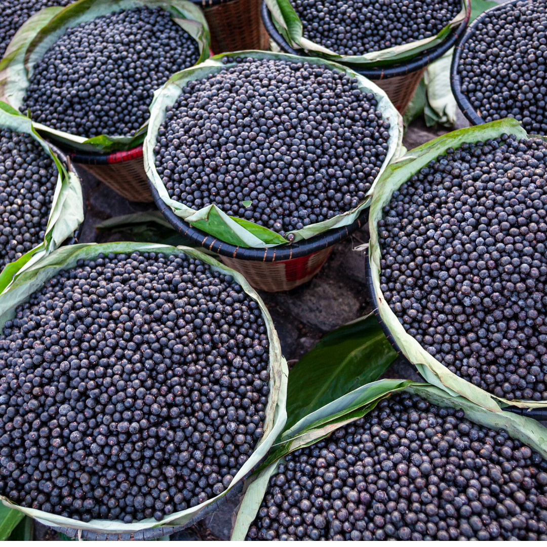 Why Açaí Is So Popular and Nutritious