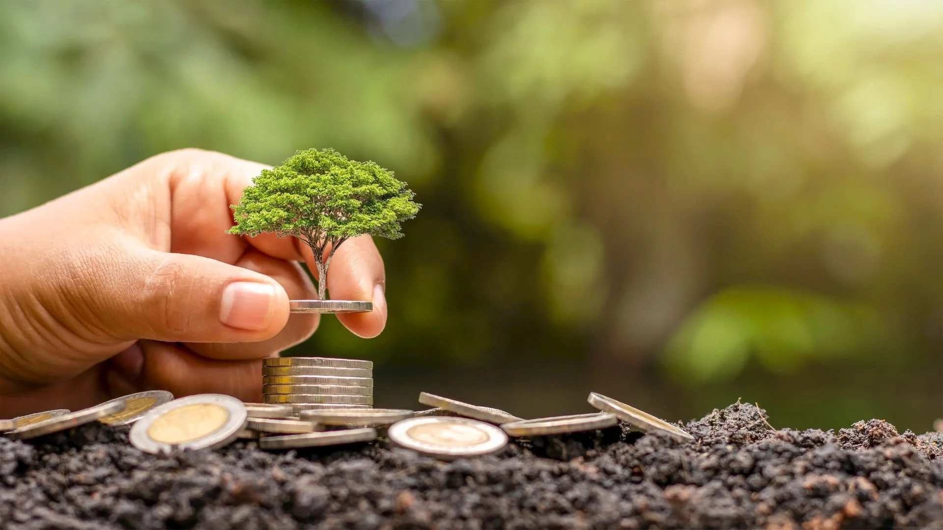 Sustainable Investing