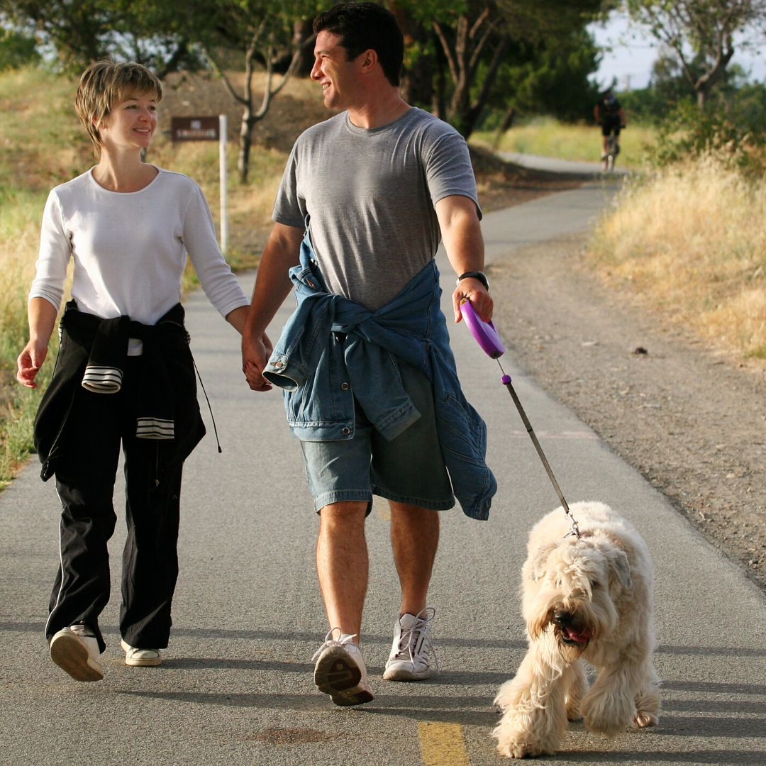 Why You Should Do 10,000 Steps A Day