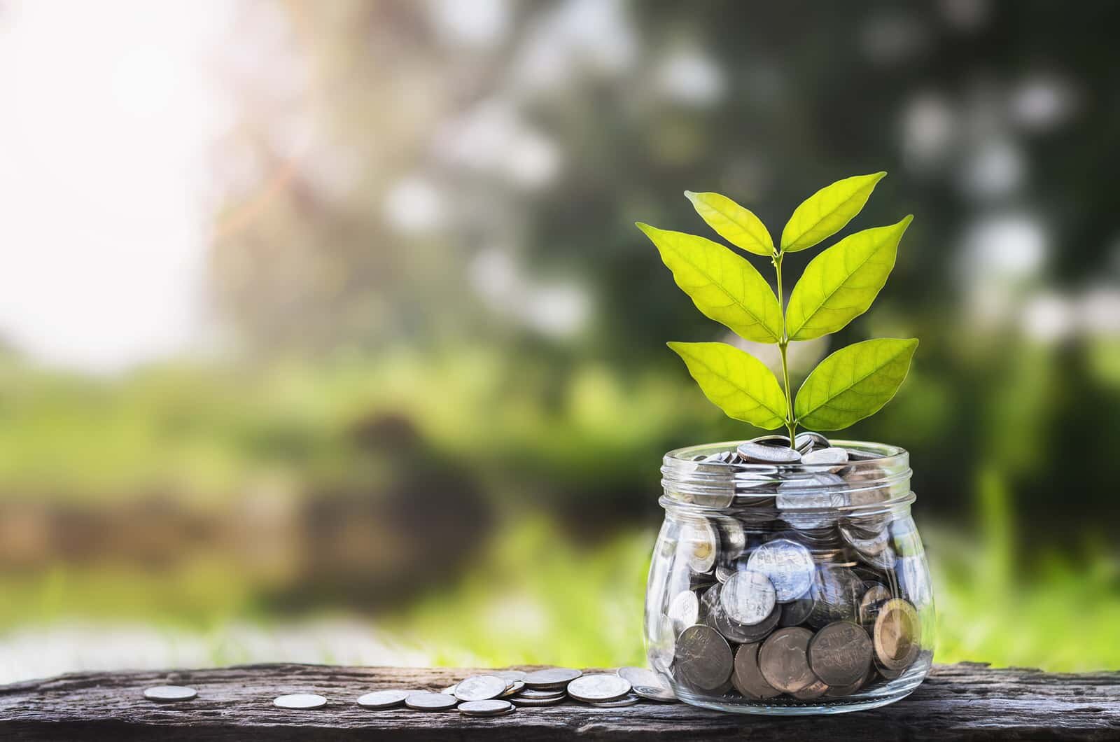 Ways To Achieve Financial Freedom