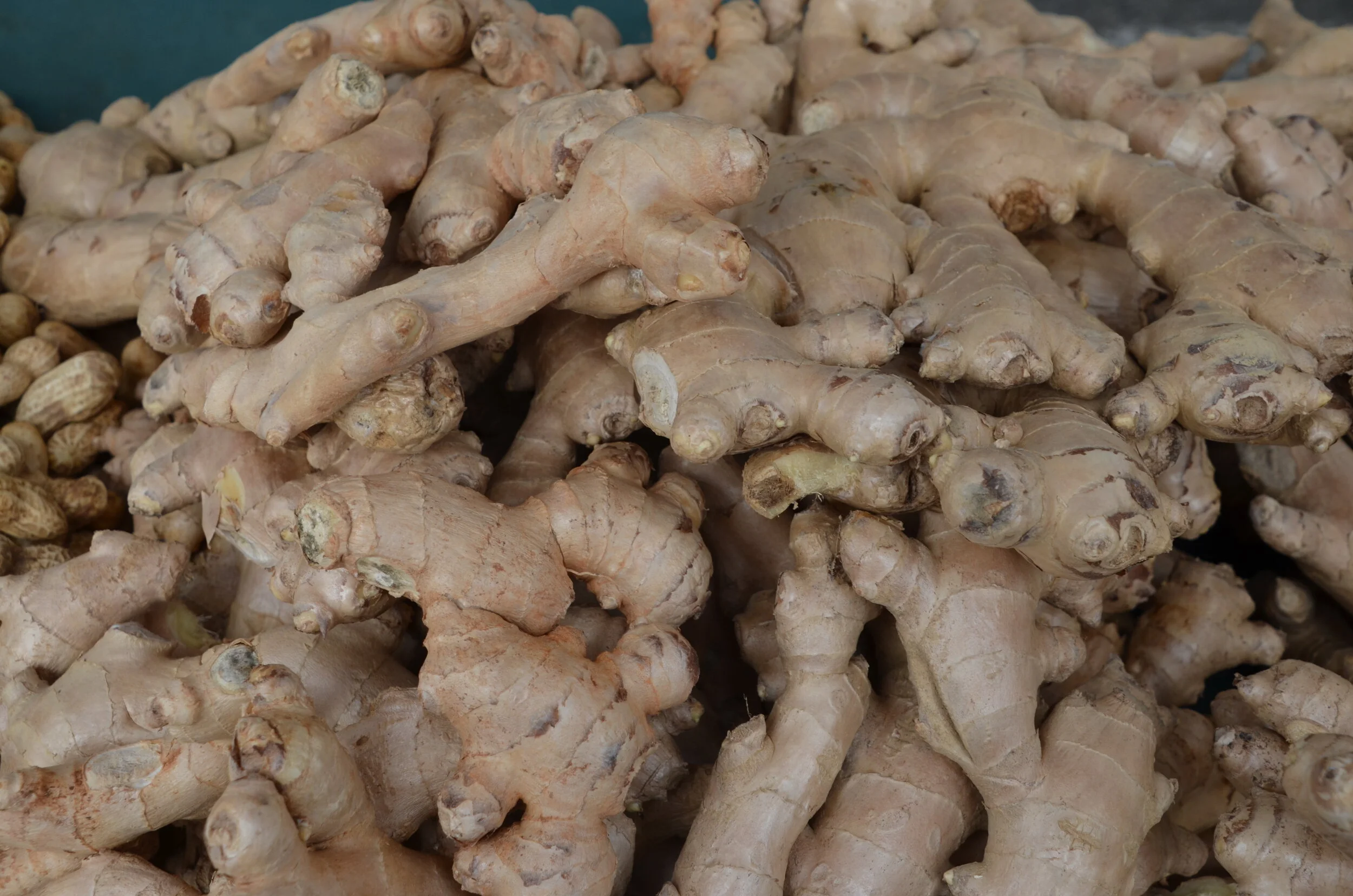 Foods that build up your immune system to fight COVID