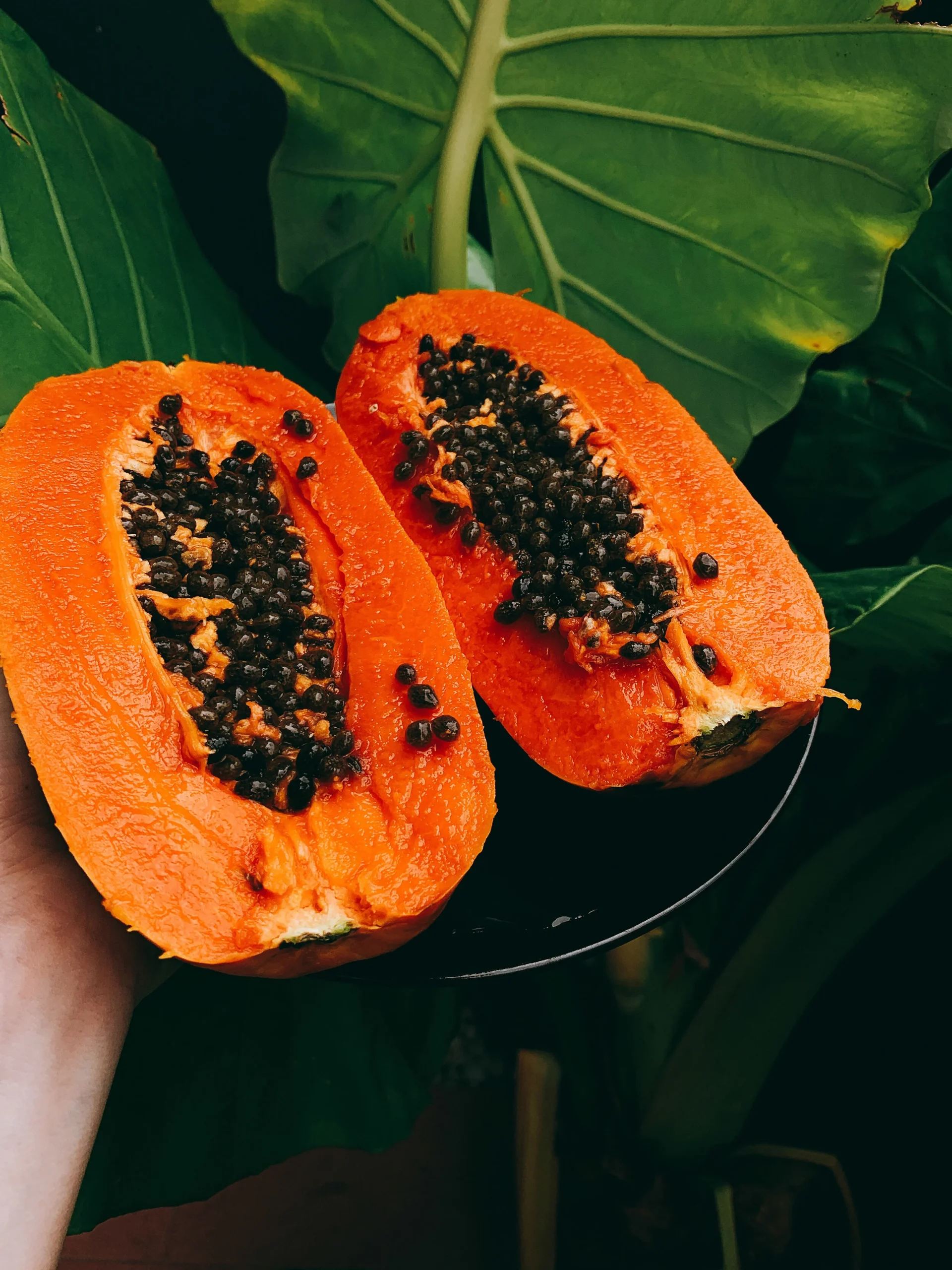 Foods that build up your immune system to fight COVID