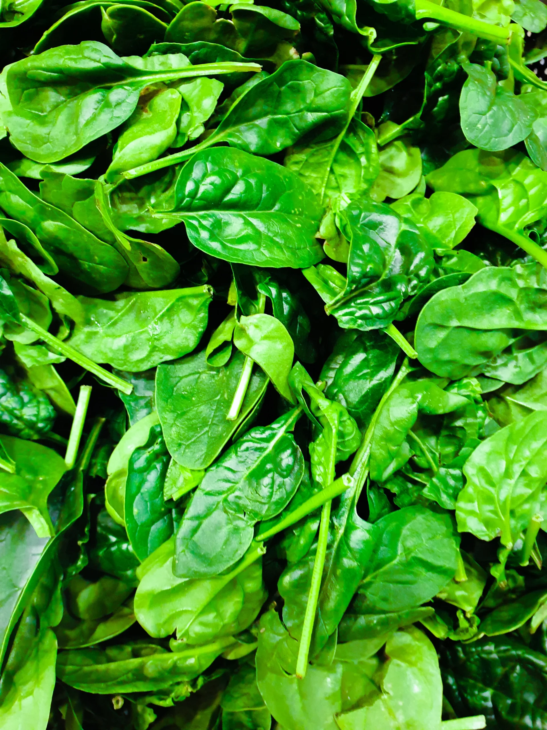 Foods that build up your immune system to fight COVID