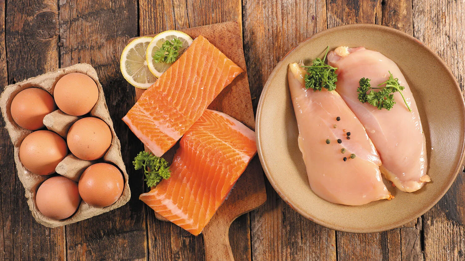 The Importance of Protein