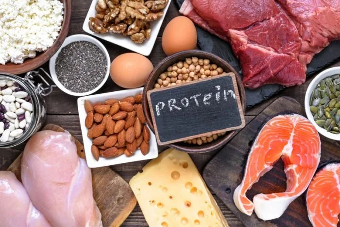 The Importance of Protein